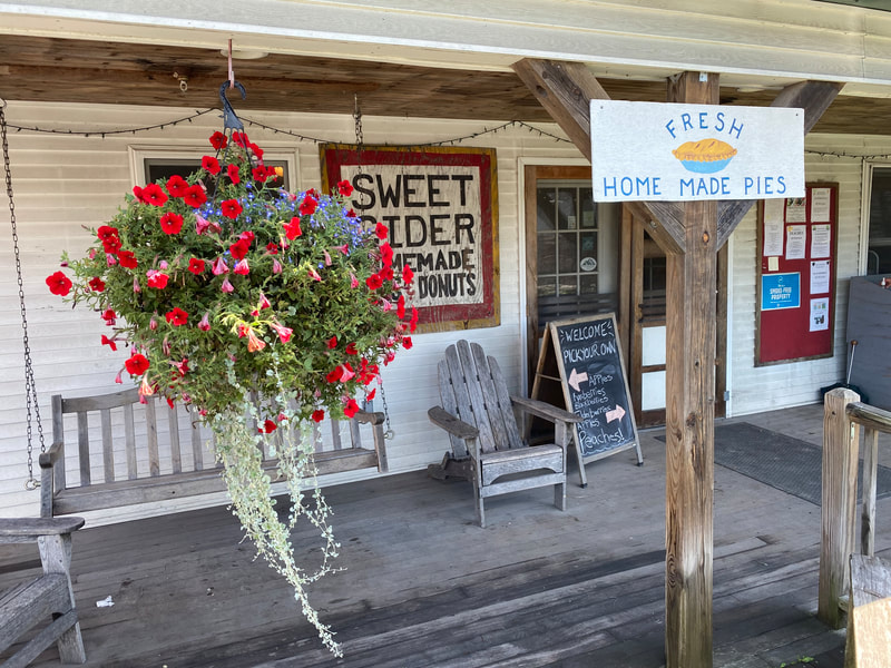 The front porch of Champlain Orchards Farm Market. It is a quaint wooden porch with a wooden bench and Adirondack chair. There is a sign on the wall that says  "Sweet cider, homemade cider donuts" and a sign on the post holding the roof up that says "Fresh Home Made Pies" with a drawing of a pie. Hanging from the roof is a basket of red flowers with light green leaves training from the bottom.