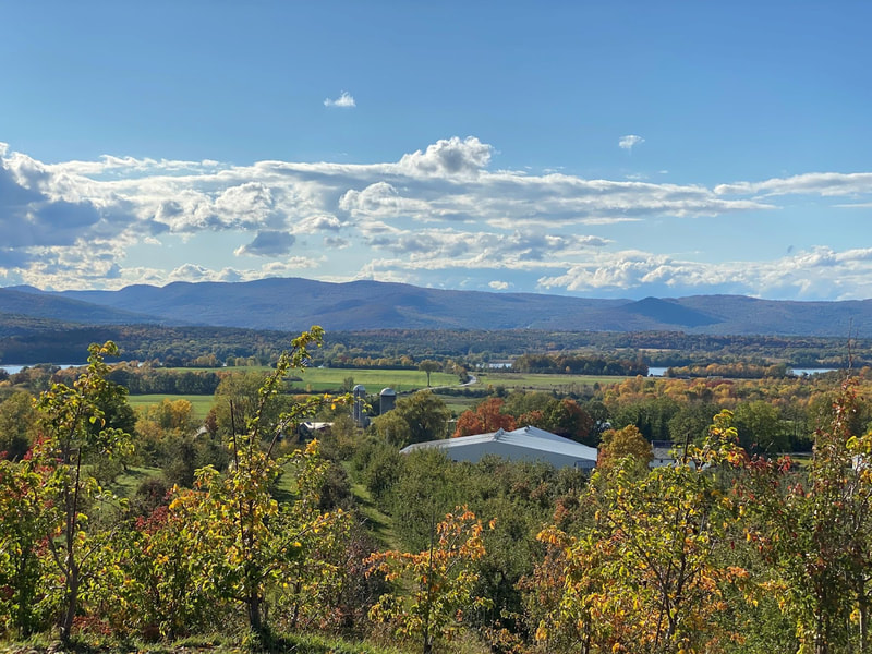 A sweeping view from the top of a hill at Champlain Orchards. There are many trees and the top of a white tent visible in the bottom half of the picture. On the horizon there are mountains and the sky is beautiful blue and has white clouds.