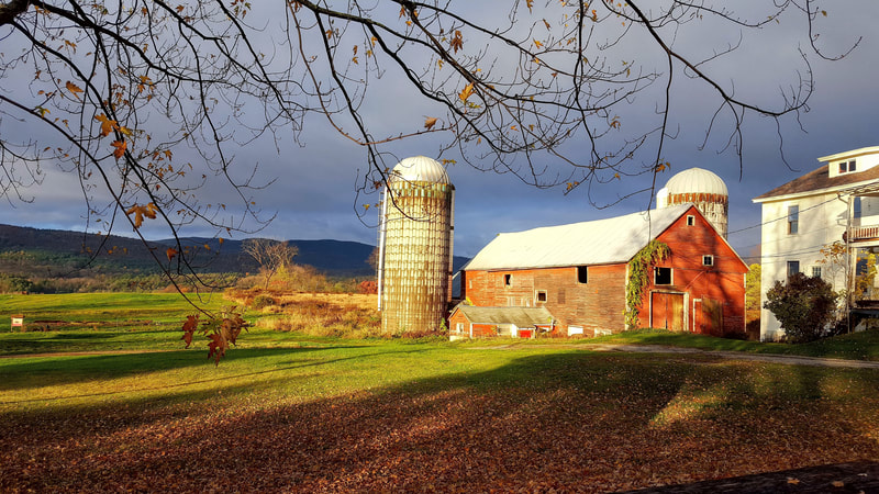 A faded red barn and white silo sit in the middle of the frame surrounded by green grass. It appears to be autumn, as there is a pile of orange leaves in the foreground of the picture. Several dark, bare branches are visible at the top of the frame, set against an overcast sky. There are mountains in the background. It looks tranquil.