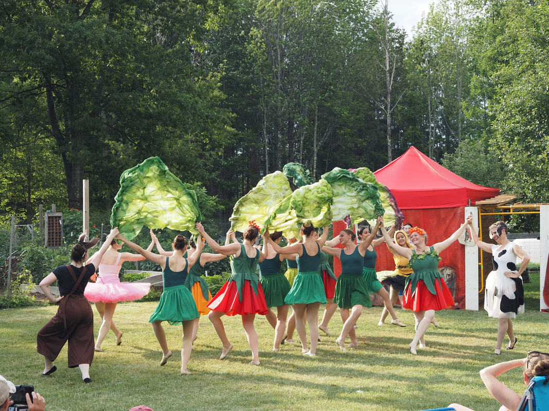 Joyful dancers of Ballet Vermont's Farm to Ballet Project join hands in two intersecting lines traveling around the circle. The inner dancers are wearing green leotards and either green, red, orange, or yellow skirts. Half of the dancers hold huge lettuce leaves like garlands made of batting material. The dancers on the outside are dressed as a pig, donkey, cow and bee. There is tent painted to look like a red barn and a peaceful garden and forest behind the dancers.